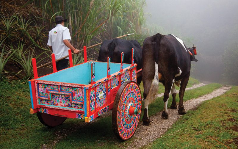 ox-car-bygone-costa-rica