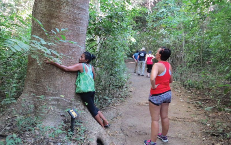 get in touch with nature costa rica