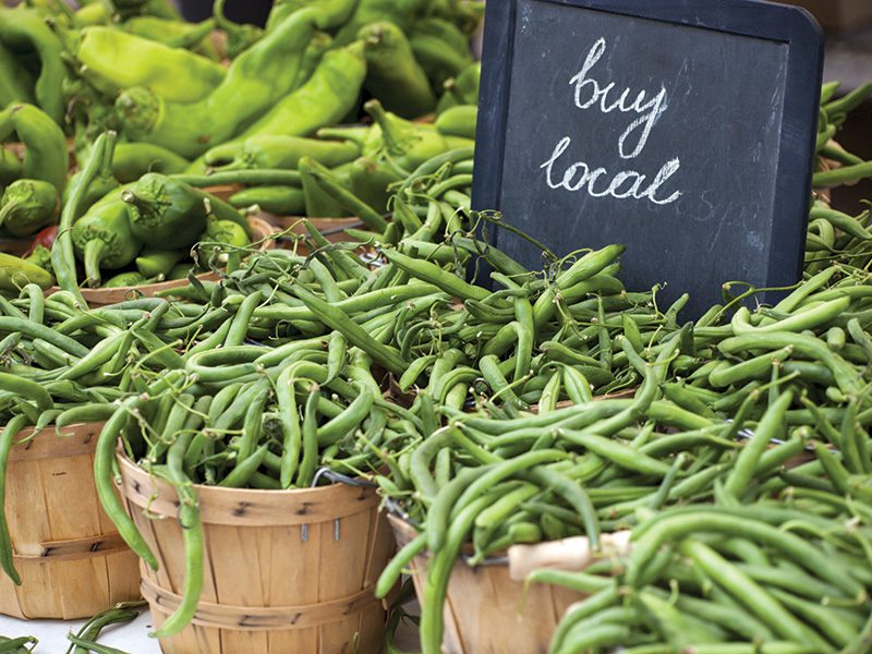 buy local organic food at the feira verde in costa rica